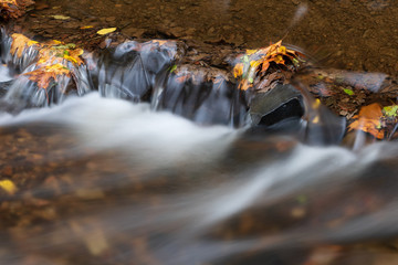 River in the woods in autumn