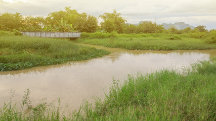 pond with bridge in local country at thailand