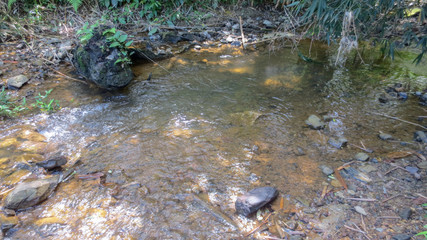 water of the stream in the natural park at Phatthalung, Thailand