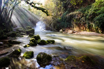 Canvas schilderij Watervallen waterfalls of Trevi nel lazio. a Creek in the Woods in autumn   © Claudio Quacquarelli