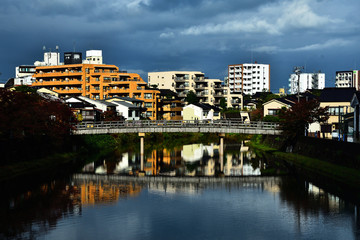 Fototapeta premium 橋