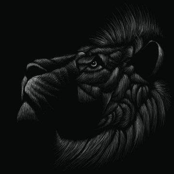   The Vector logo lion for T-shirt design or outwear.  Hunting style lion cat background.