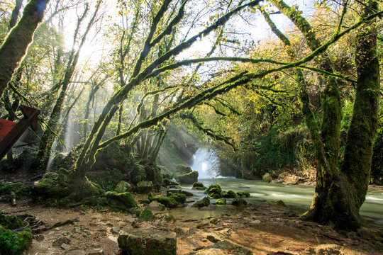 waterfalls of Trevi nel lazio. a Creek in the Woods in autumn 