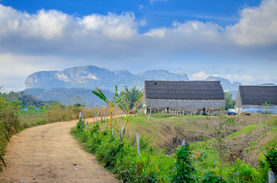 Vineales, rural Cuban tobacco farm, road to planter house