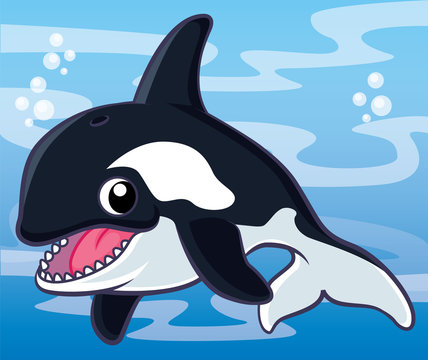 Killer whale cartoon, cartoon cute, animail cute
