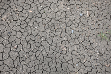 Cracked earth during dry season