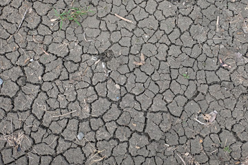 Cracked earth during dry season