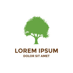 Oak tree inspiration logo template