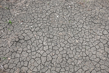 Cracked earth during dry season