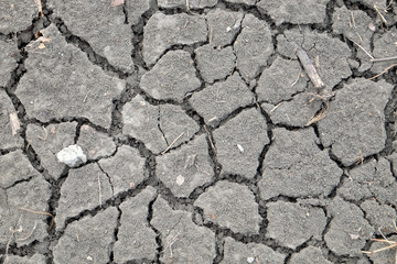 Cracked earth during dry season
