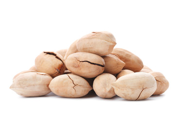 Heap of pecan nuts in shell on white background