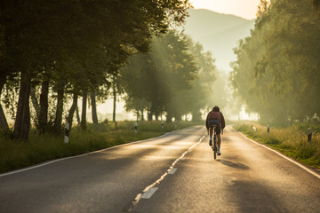 Rennrad Allee