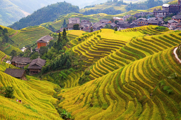 Fototapeta na wymiar Longji Rice Terraces
