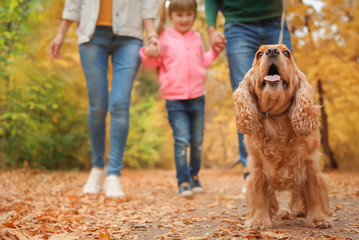 Happy family with child and dog in park. Autumn walk