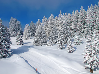 Fototapeta premium Winter in alps