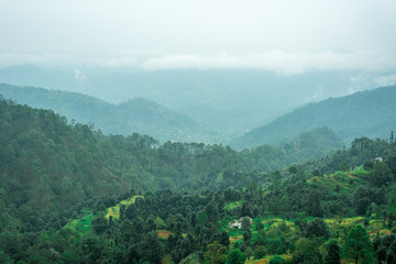 Fototapeta na wymiar Stepping Fields in Uttarakhand, India