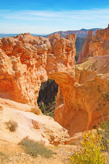 Bryce canyon