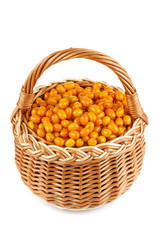 Wicker basket with sea buckthorn berries isolated on white background