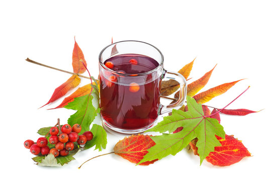 Glass of rowan stew isolated on white background
