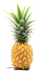 Perfect pineapple on a white background in the studio. Vitamins. Isolated green pineapple. Professional photography pineapple.