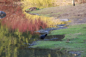 Frühlingsfarben am Spitzingsee