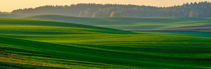 Panorama einer grünen Wiese in Herbstlandschaft © Mike Mareen