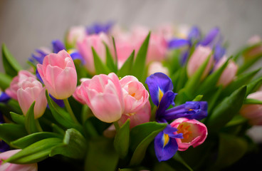 delicate bouquet of tulips