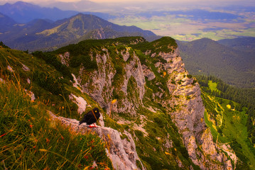 View from the Benediktenwand in the german pre-Alps, alpine chough in the foreground