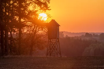 Foto op Plexiglas hunting tower in the light of the setting sun © Mike Mareen