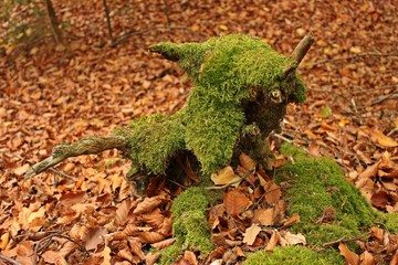 Skurriles Tier aus moosbewachsener Baumwurzel

