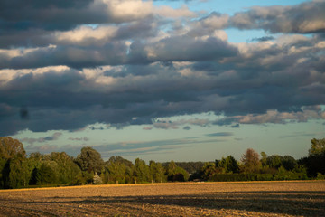 Fototapeta premium Feld und Wolken