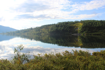 Fototapeta na wymiar Reflection in mountain lake in summer