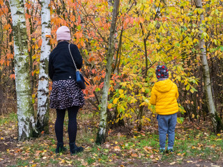 A woman and a child watching green, yellow and red leaves on trees in a forest in autumn