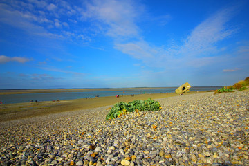 la plage du hourdel avec vue sur la baie de somme en picardie 