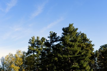 Obraz premium Fall in Ottawa