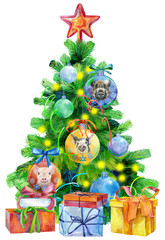 Watercolor illustration Christmas tree decorated with Christmas balls with image of pig.