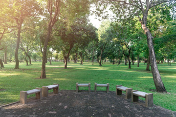 bench in public park with sunlight