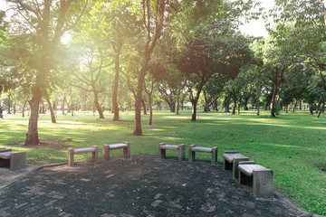 bench in public park with sunlight