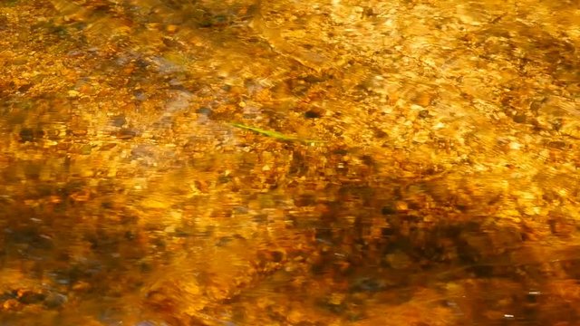 flow of water in the sunlight, abstract background of gold color 