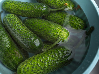 Green cucumbers in a cup with water close-up