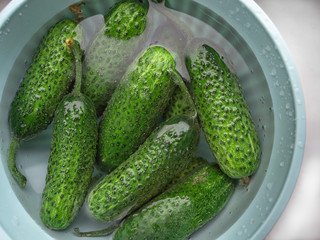Green cucumbers in a cup with water close-up