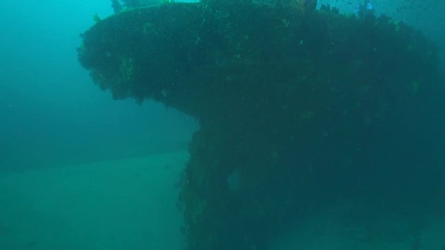 Wrack 72