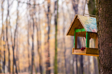 A wooden feeder on the background of a blurred forest.