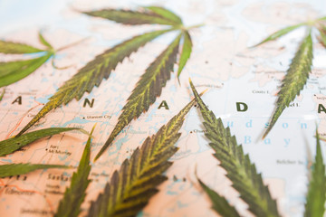 cannabis leaf on world map