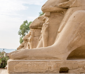 The temple in Karnak