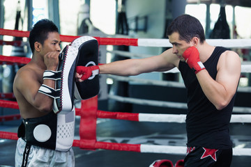 muay thai boxing