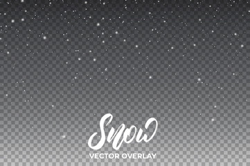 Snow. Realistic snow overlay background. Winter Christmas and New Year snow decoration.