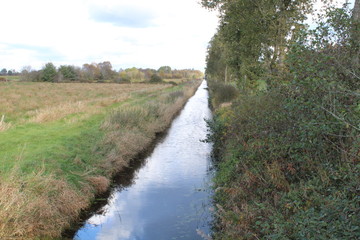 A sunny day in the bog in East Friesland