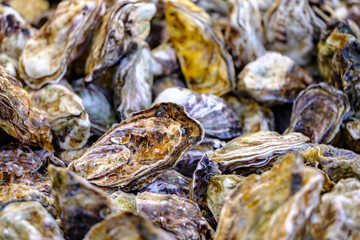 Heap of fresh oysters on the market.