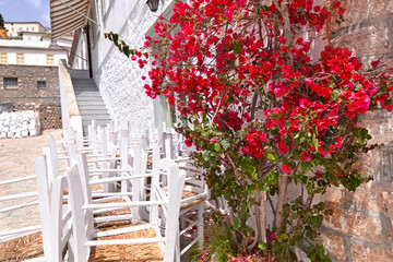 Fototapeta na wymiar blooming red bougainvillea flowers at Hydra island Saronic gulf Greece